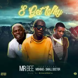 Mr Bee - E Get Why (Prod. by Ajeondmix) ft. Small Doctor & Mohbad